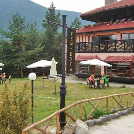 Hotel Temenuga Panichishte Bagian luar foto