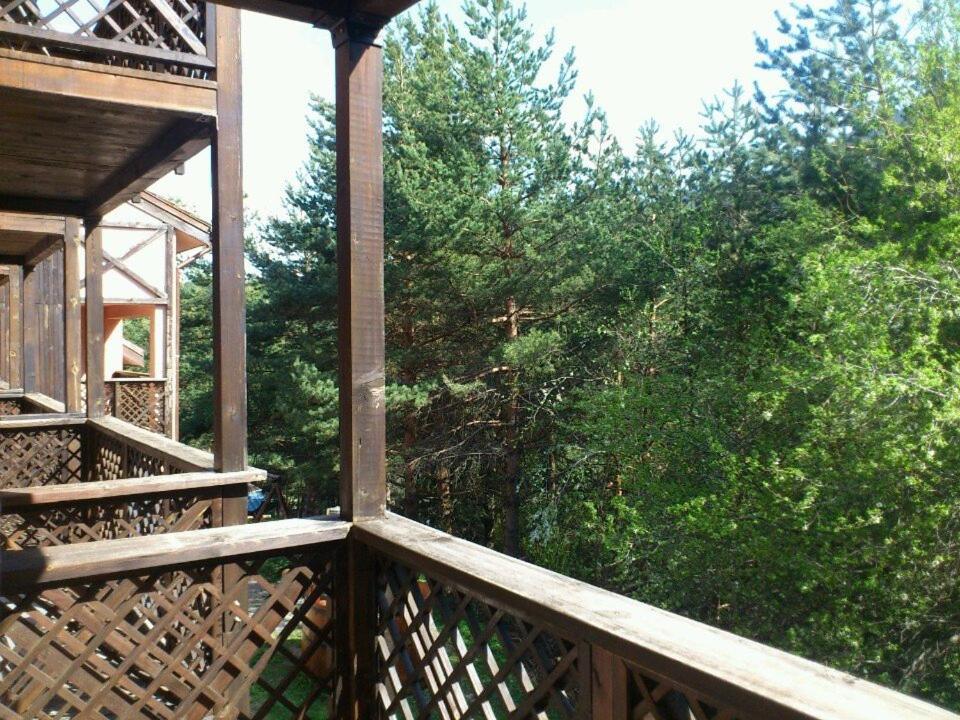 Hotel Temenuga Panichishte Bagian luar foto
