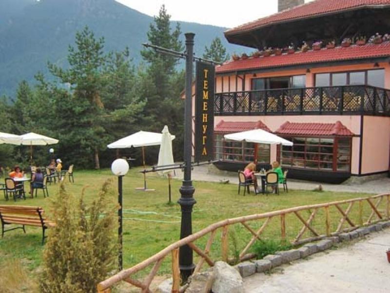 Hotel Temenuga Panichishte Bagian luar foto